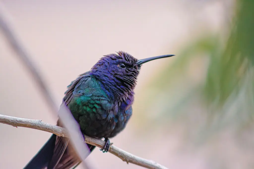 Why Most Websites Fail to Convert (And How to Fix It)